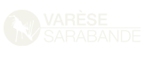 vs2